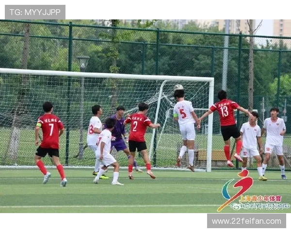 上海今晚足球比赛：激情四溢的绿茵场上谁将获胜？